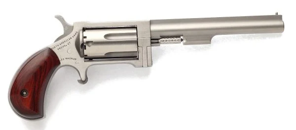 NAA-SW-4 22MG 4" SS